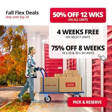 Access Storage  Promotion